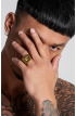 ANILLO DORADO GK