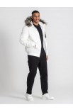 WHITE BEAR