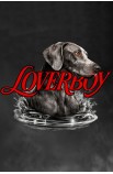 LOVERBOY gris oscuro